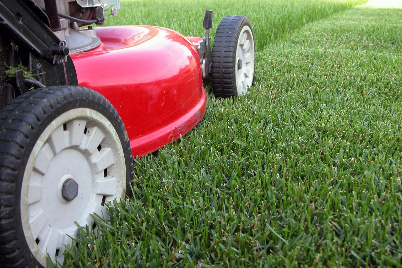 Lawn-Maintenance-Service-in-Sheboygan